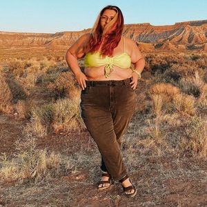 American Eagle Plus Size Jeans